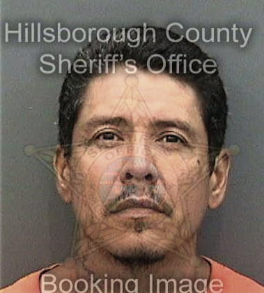Roger Matson - Hillsborough County, FL 