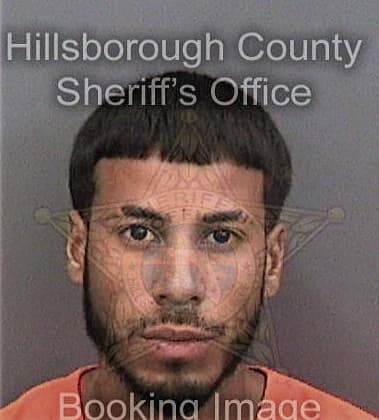 Darren Mongeon, - Hillsborough County, FL 