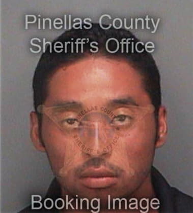 Zelvin Murilloayala, - Pinellas County, FL 