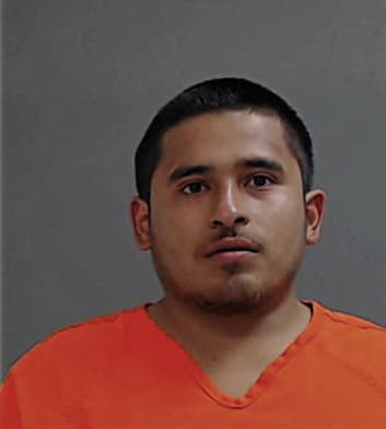 Victor Delgado, - Hidalgo County, TX 