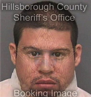 Christopher Emmons, - Hillsborough County, FL 