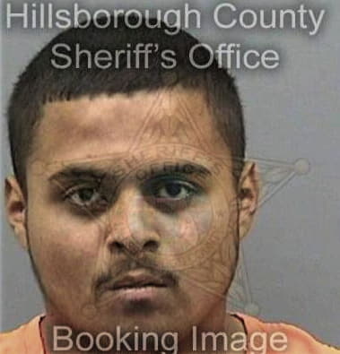 Travis Flint, - Hillsborough County, FL 