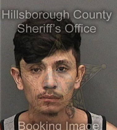 Joshua Fowler, - Hillsborough County, FL 