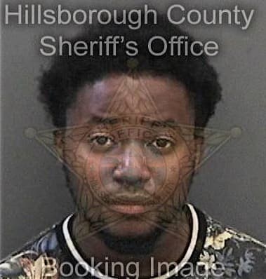 Lorenzo Gibson, - Hillsborough County, FL 