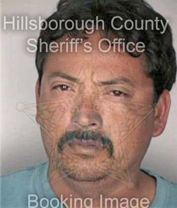 Domingo Gomez, - Hillsborough County, FL 