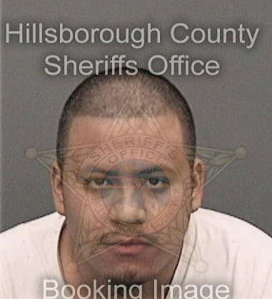 Saul Gomez, - Hillsborough County, FL 