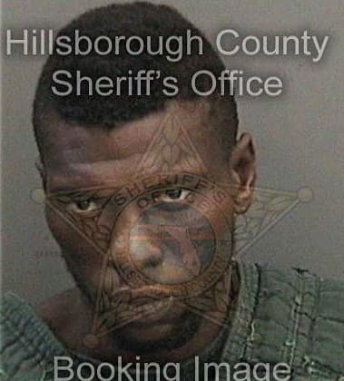 Michael Hamm, - Hillsborough County, FL 