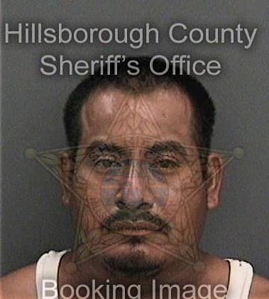 Anthony Krick, - Hillsborough County, FL 