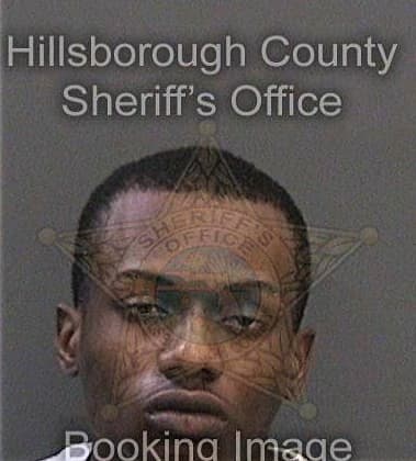 William Longs, - Hillsborough County, FL 