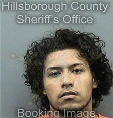 Sean Lynch, - Hillsborough County, FL 