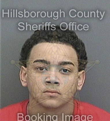 Randall Messer - Hillsborough County, FL 