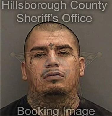 Dayron Perez-Contrera, - Hillsborough County, FL 