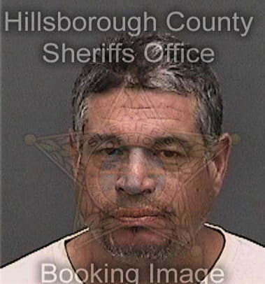 Milad Asari, - Hillsborough County, FL 