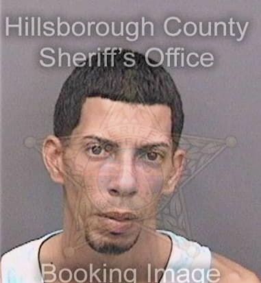 John Basilyous, - Hillsborough County, FL 