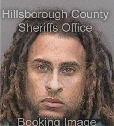 Reginald Braswell - Hillsborough County, FL 