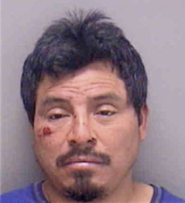 Juan Castillo, - Lee County, FL 