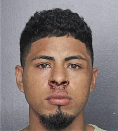 Nicholas Castro, - Broward County, FL 