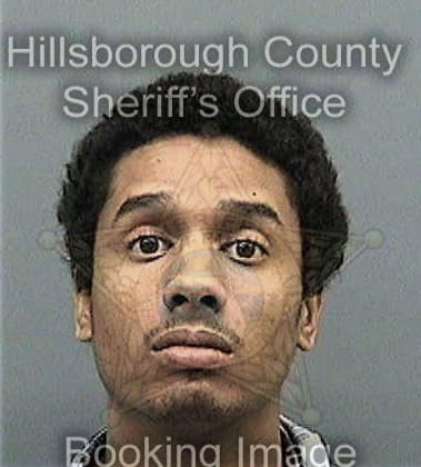 Davon Fields, - Hillsborough County, FL 