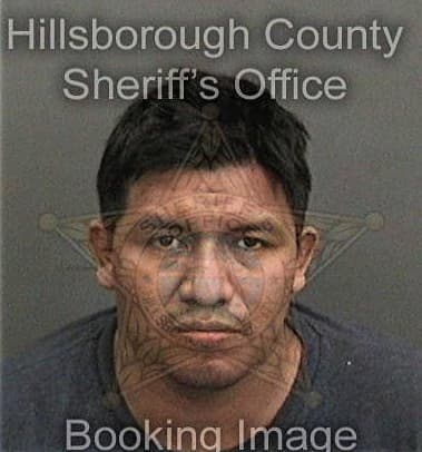 Nikolai Heck, - Hillsborough County, FL 