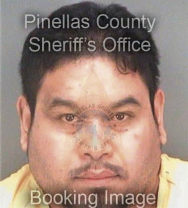 Otoniel Navarroespinoza, - Pinellas County, FL 