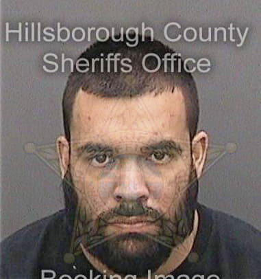 Jorge Sabogal, - Hillsborough County, FL 