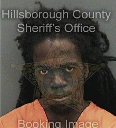 Jairo Bravo - Hillsborough County, FL 