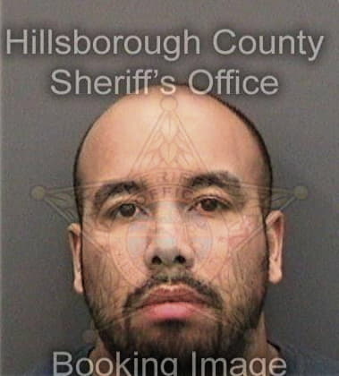 Michael Brescia - Hillsborough County, FL 