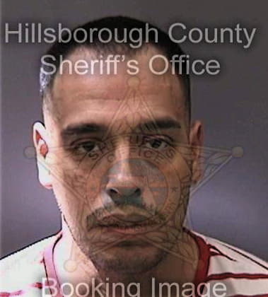 Matthew Dees, - Hillsborough County, FL 