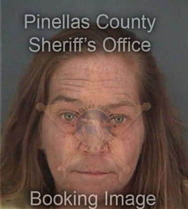 Kristine Ferrazano, - Pinellas County, FL 