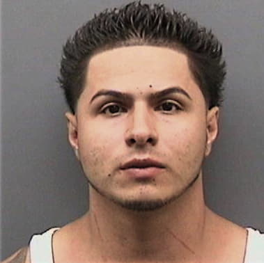 Luis Padillavargas, - Hillsborough County, FL 