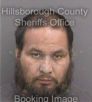 Michael Robb - Hillsborough County, FL 