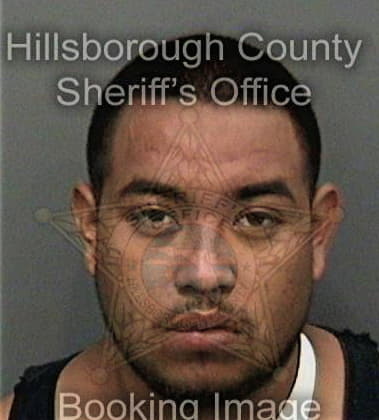 Jose Velasquezsoza, - Hillsborough County, FL 