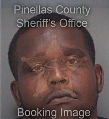 Michael Bradley, - Pinellas County, FL 