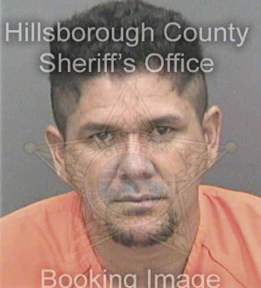 Anthony Carlson, - Hillsborough County, FL 