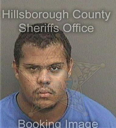 Ryan Chaney, - Hillsborough County, FL 