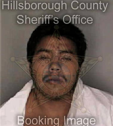 Freddy Guerrerovelazquez, - Hillsborough County, FL 