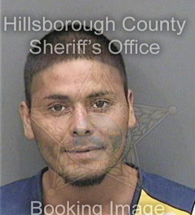 Michael Hoffpauir, - Hillsborough County, FL 