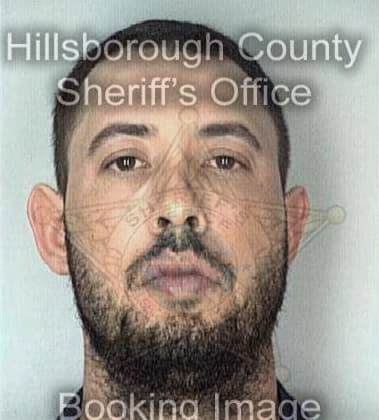 Trevor Priestly, - Hillsborough County, FL 