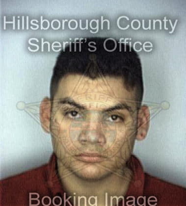 Edwin Ruiz, - Hillsborough County, FL 