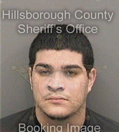 Datavious Allen, - Hillsborough County, FL 