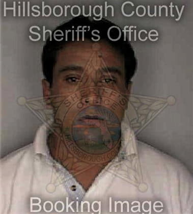 Carlos Aristizabalospina, - Hillsborough County, FL 