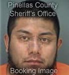 Manuel Lunaserrano, - Pinellas County, FL 