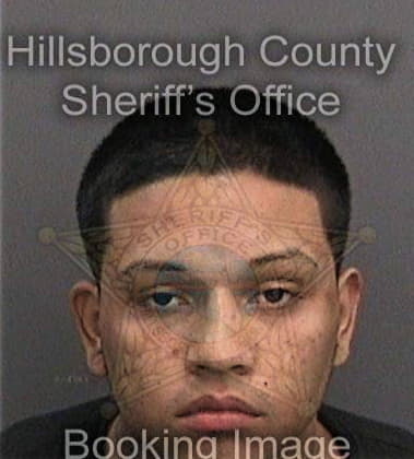 Ryan Meadows - Hillsborough County, FL 