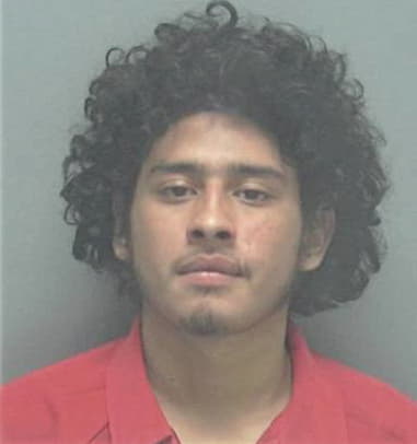 Manuel Tomas, - Lee County, FL 