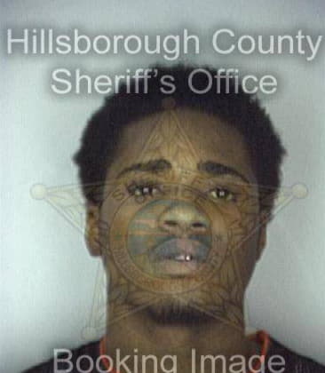 Andre Williams - Hillsborough County, FL 