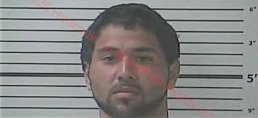 Carmelo Godoy-Acencio, - Hancock County, MS 