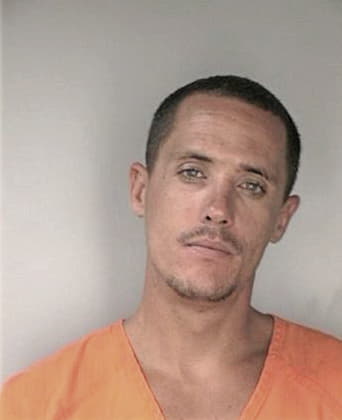 Meneses Hernandez - Hillsborough County, FL 