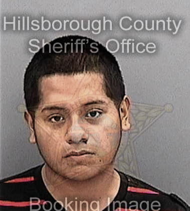 Peter Maciulla, - Hillsborough County, FL 