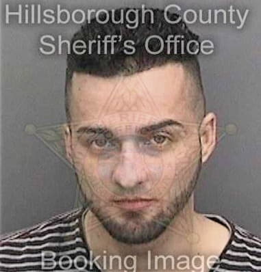 Bryan Maldonadorivera, - Hillsborough County, FL 