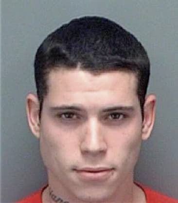 Sean Maness, - Pinellas County, FL 